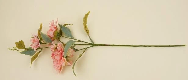 Wilted Chrysantemum Stick With 3 Flowers